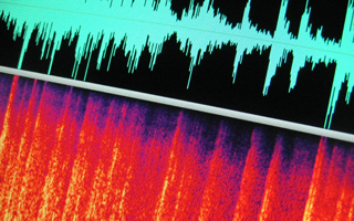 A sound file in Adobe Soundbooth CS3.